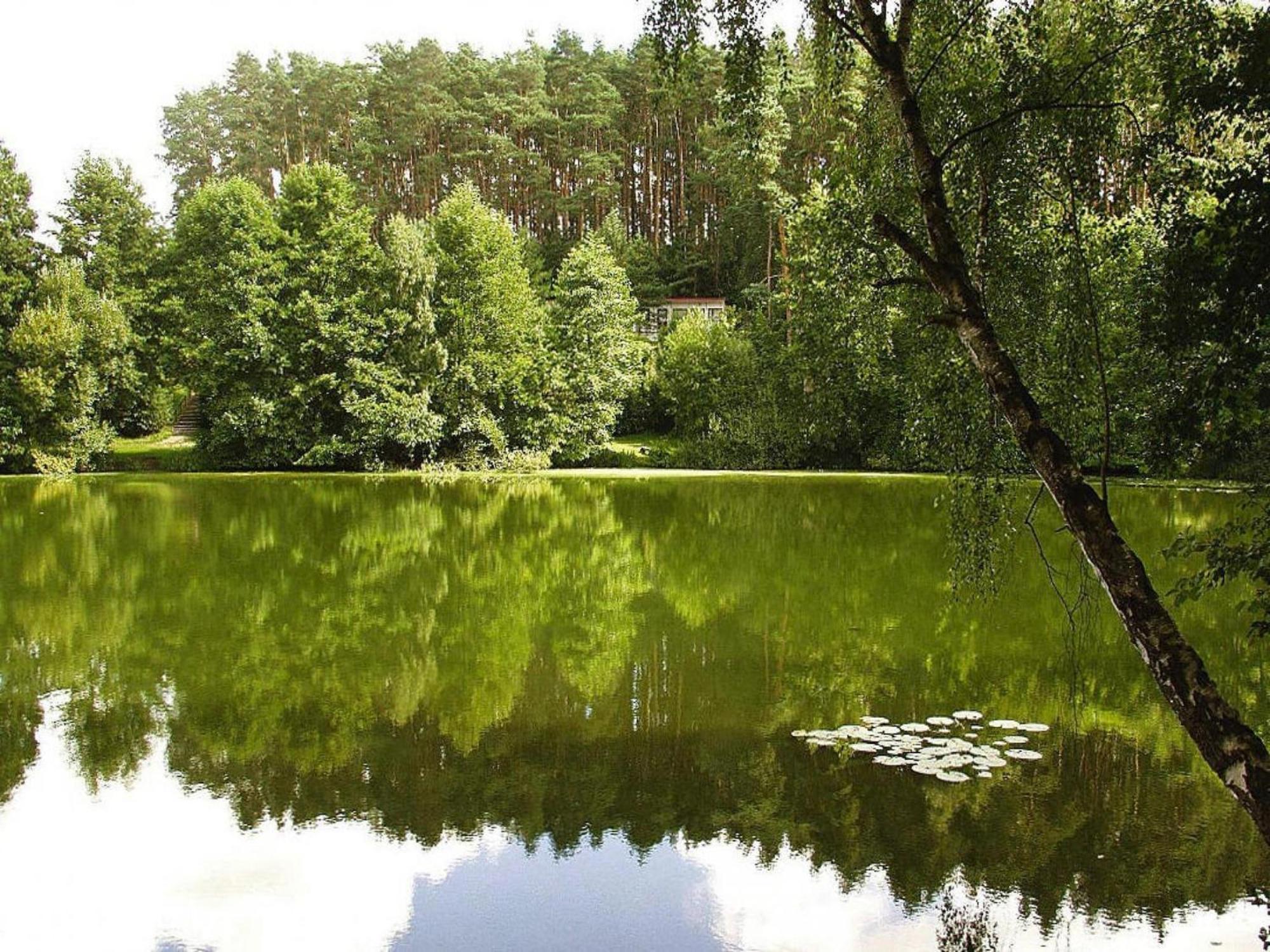 Vacation Settlement Directly At The Grundlossee In Sewekow 외부 사진
